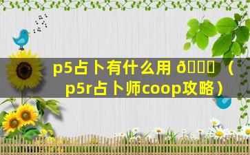 p5占卜有什么用 🐋 （p5r占卜师coop攻略）